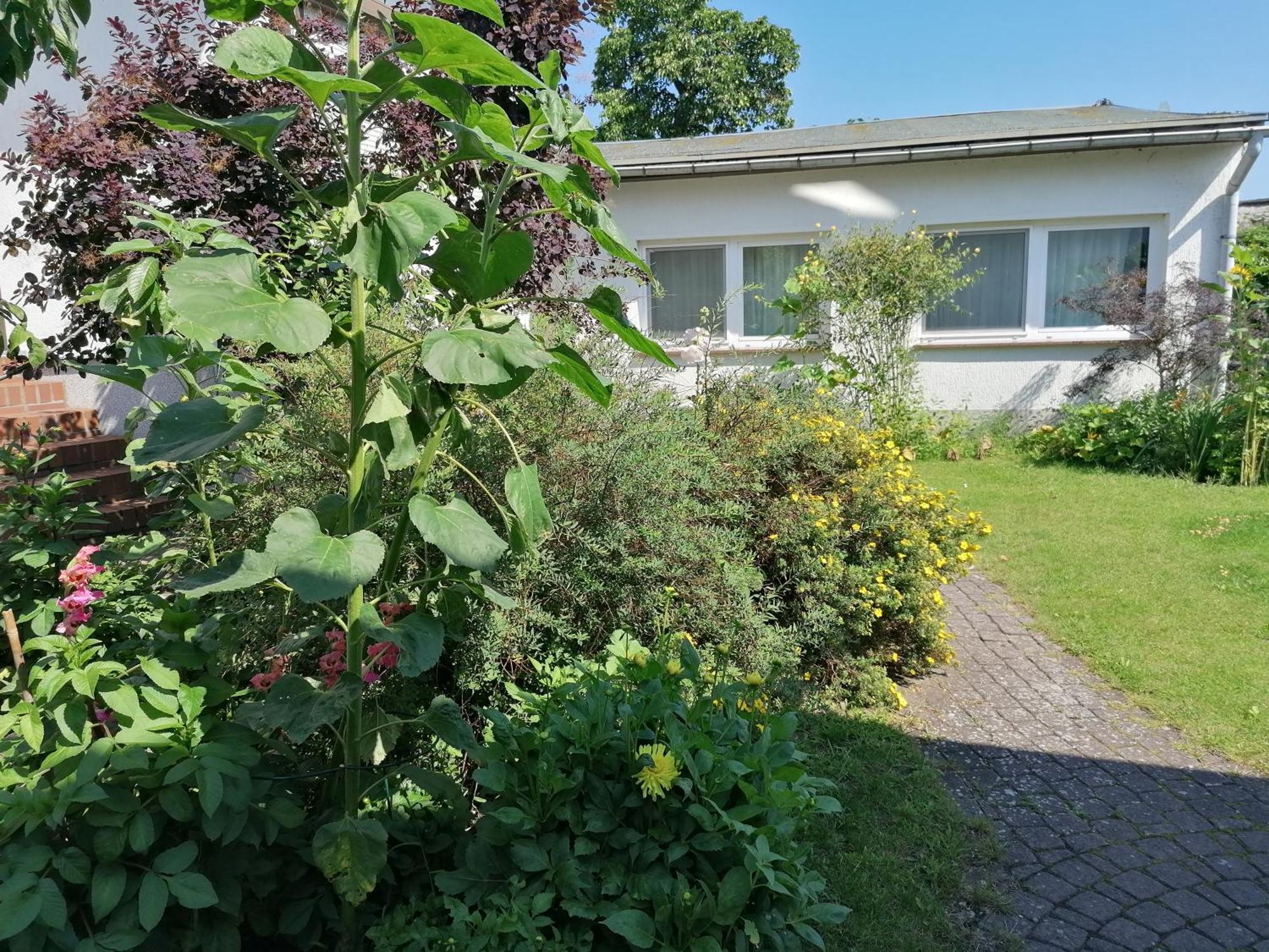 Pension Haus Anneliese Юкеріц Екстер'єр фото